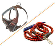 Dog Harness Leash (leather dog harnes with nylon dog lead)